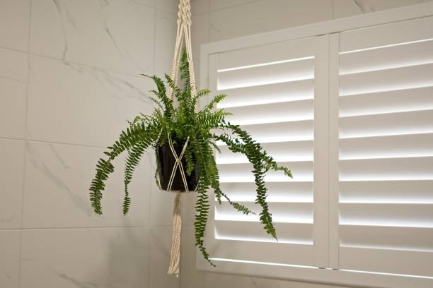 Plantation Shutters Redlands